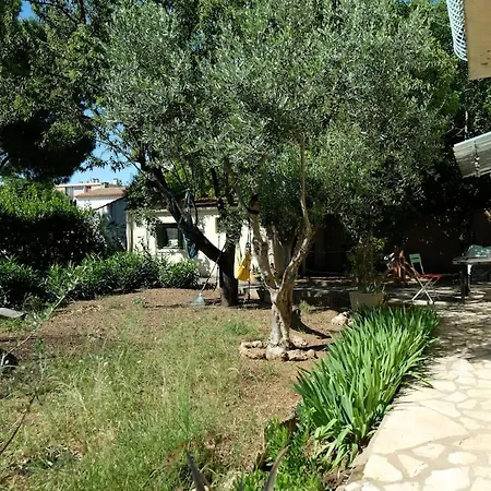 Spacious And Wooded In A Quiet Place *